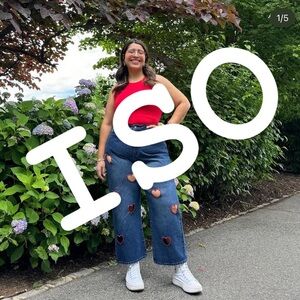 ISO! Shiny by Nature 26 inch inseam dark wash denim heart shape cut out jeans!